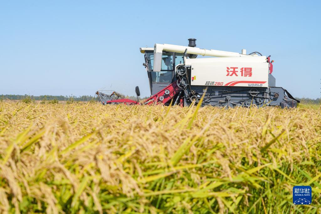 永利攻略网址